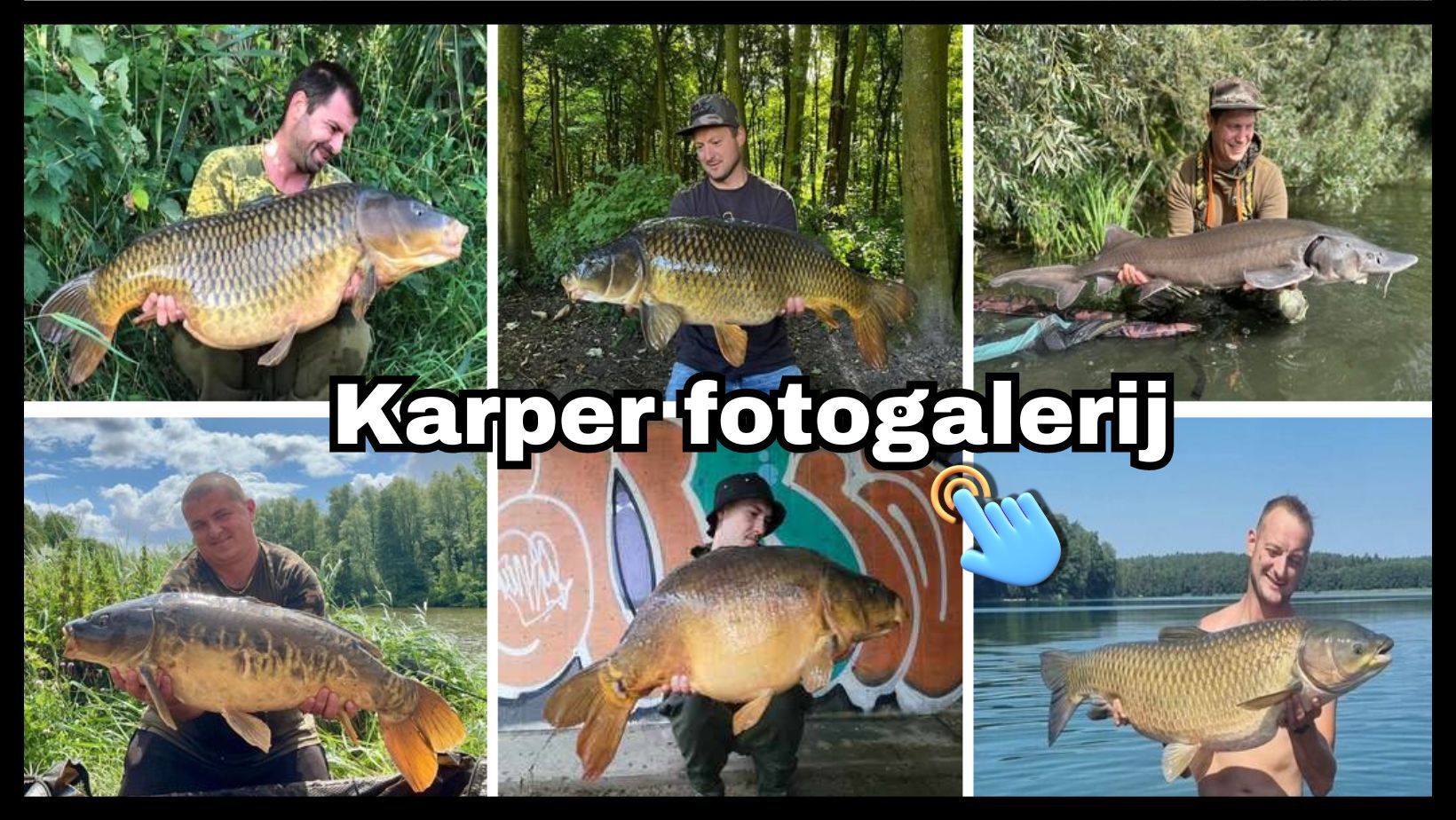 Karper fotogalerij