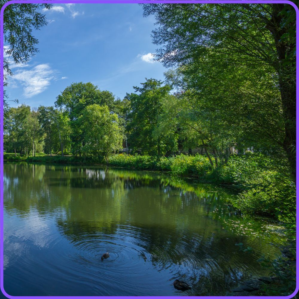 mooiste karperwater nederland