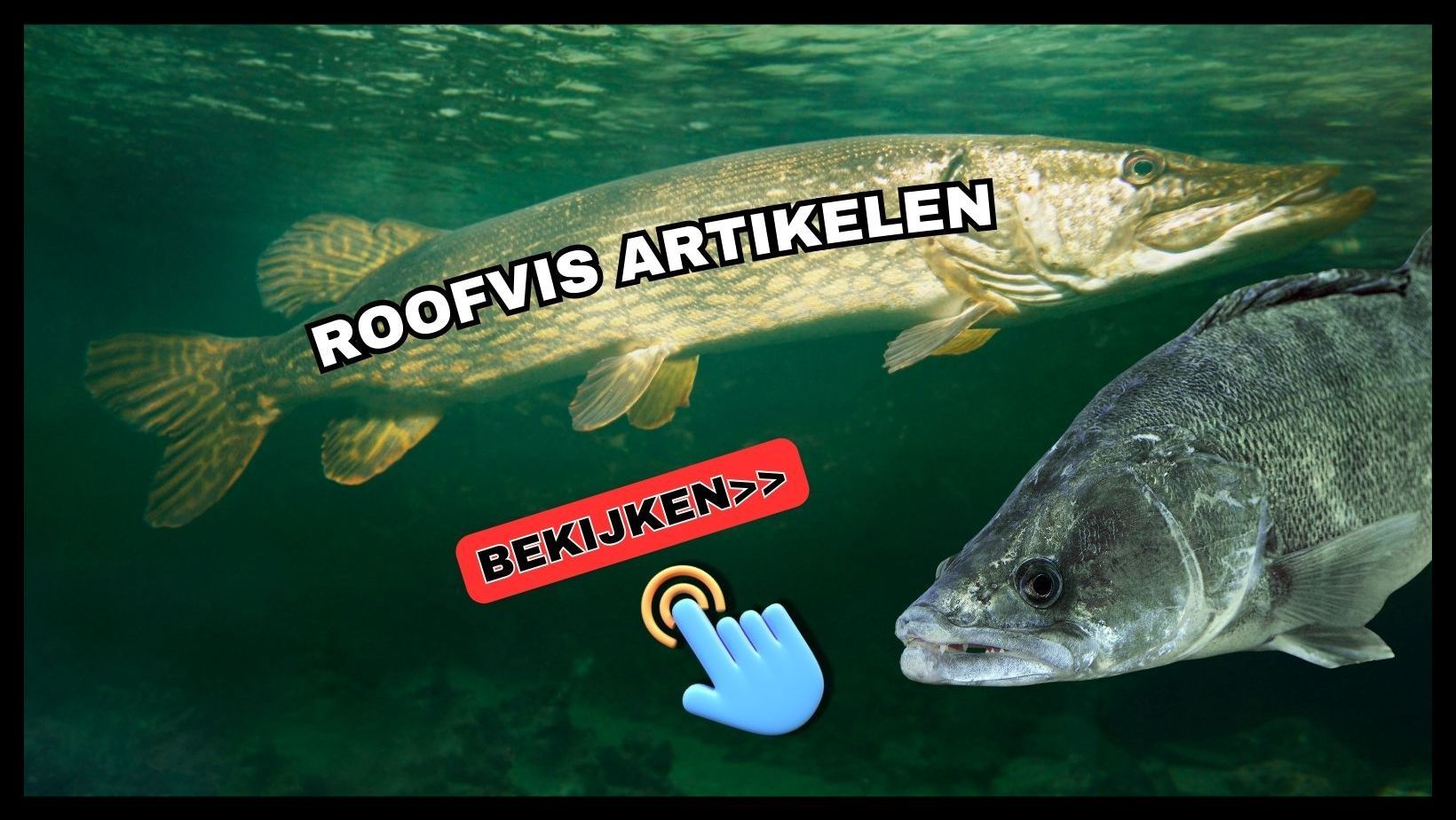 roofvis artikelen